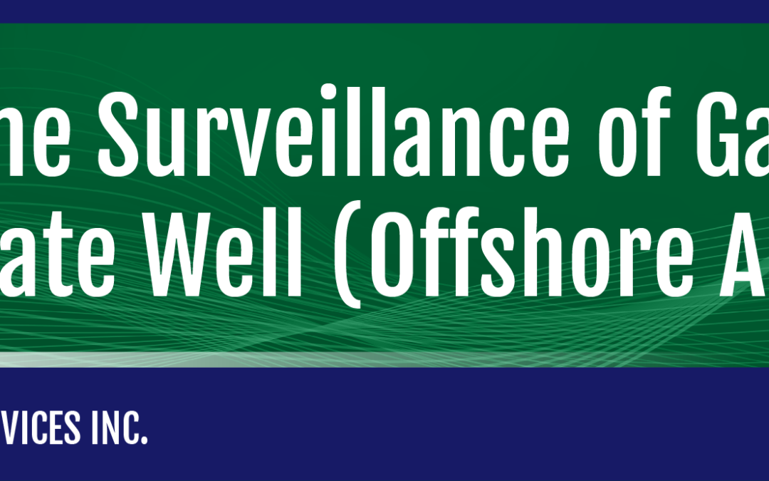 Real-Time Surveillance of Gas Condensate Well (Offshore Australia)