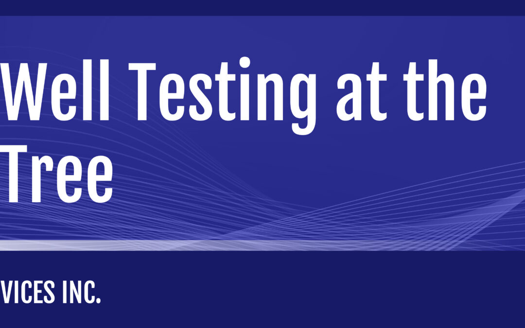 Subsea Well Testing at the Subsea Tree