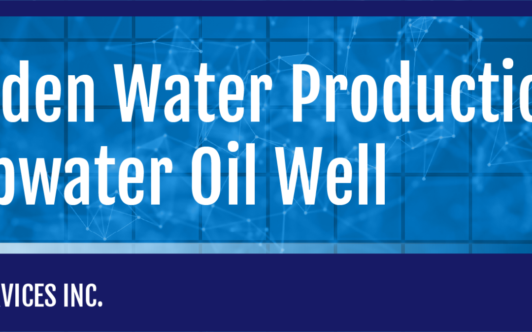 VFM/Sudden Water Production in a Deepwater Oil Well