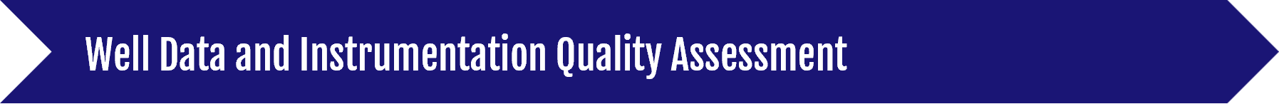 Well Data and Instrumentation Quality Assessment Header